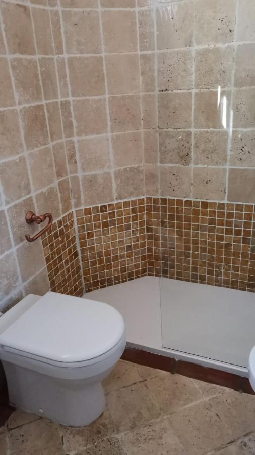 Conce Apartment Пиза Экстерьер фото